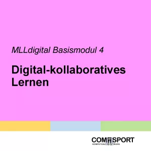 Lernkontrolle: MLLdigital B4: Digital-kollaboratives Lernen