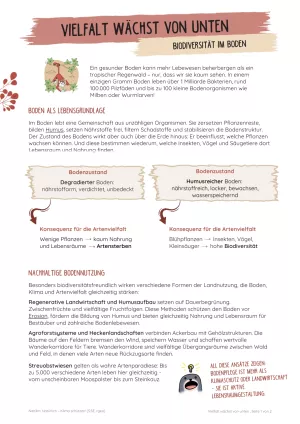 Unterrichtsbaustein: Vielfalt wächst von unten | Biodiversität im Boden