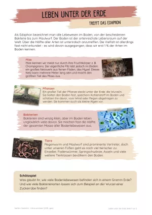 Unterrichtsbaustein: Leben unter der Erde | Trefft das Edaphon