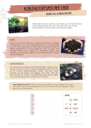 Unterrichtsbaustein: Kohlenstoffspeicher Erde | Böden als Klimaschützer