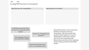 Interaktion: Grundlagen der menschlichen Thermoregulation