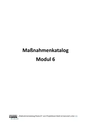 Flyer: Maßnahmenkatalog Modul 6