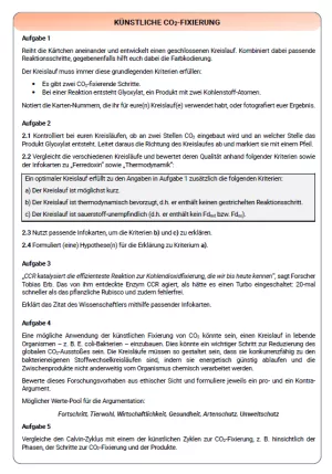 Arbeitsblatt: Künstliche Fotosynthese - Arbeitsblatt