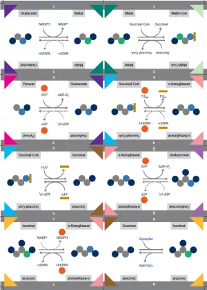 Unterrichtsbaustein: Kärtchenset „Kugel-Darstellung“