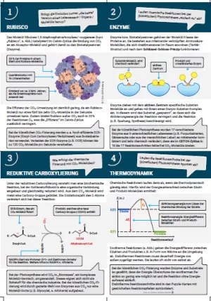 Unterrichtsbaustein: Infokarten Kärtchenset