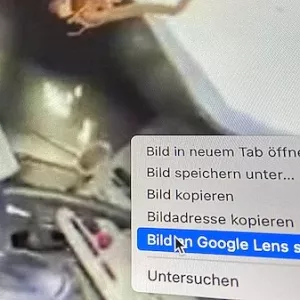 Unterrichtsplanung: Ukraine-Krieg und Falschinformationen auf Social Media | Kurs