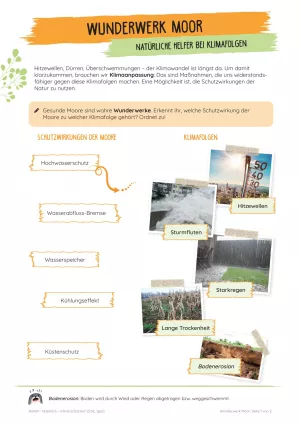 Unterrichtsbaustein: Wunderwerk Moor | Natürliche Helfer bei Klimafolgen