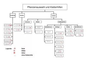 Broschuere: Pflanzen zur bodengebundenen Begrünung: nach Kletterhilfen