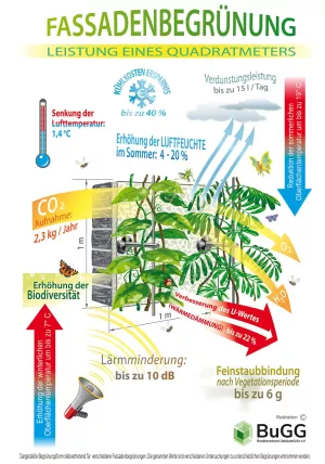 Webseite: Fassadenbegrünung
