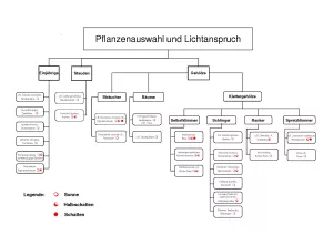 Broschuere: Pflanzen zur bodengebundenen Begrünung: nach Lichtansprüchen