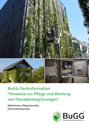 Broschuere: BuGG-Fachinformation: Hinweis zur Pflege und Wartung von Fassadenbegrünungen