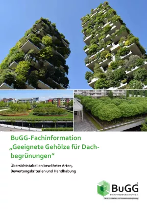 Broschuere: BuGG-Fachinformation: Geeignete Gehölze für Dachbegrünungen