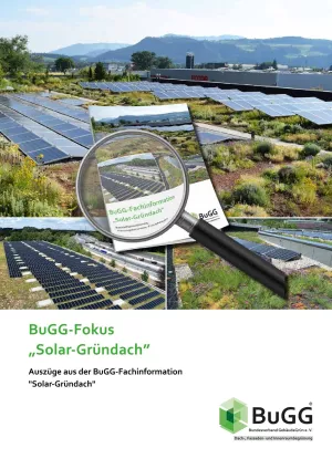 Broschuere: BuGG-Fokus: Solar-Gründach