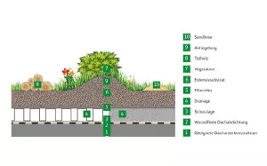 Webseite: Dachbegrünung