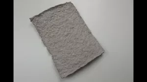 Entdeckendes: Recycled paper | Experiment