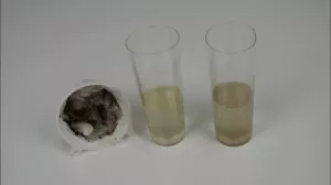 Entdeckendes: Wassertropfen Watty | Experiment