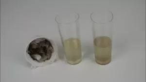 Entdeckendes: Droplet Watty - Water filter | Experiment