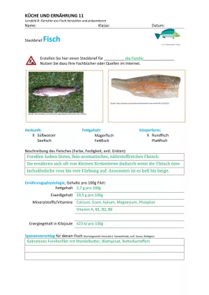 Unterrichtsbaustein: 8.1 Steckbrief Fisch (Lösung)