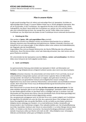 Unterrichtsbaustein: 9.2 Pilze in unserer Küche