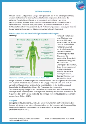 Merkblatt: Modul 5 | Physische Gesundheit - Luftverschmutzung, Überflutung, Klimagerechtigkeit | Fakten "Luftverschmutzung"