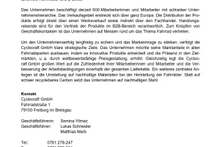 Unterrichtsbaustein: Unternehmensprofil Lernfeld 9 (DOCX)