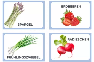 Lernspiel: #snackattack | Obst- und Gemüse-Kärtchen für das Saison-Sortier-Game