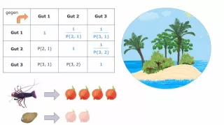 Video: Volkswirtschaftslehre - Rechnen ohne Geld