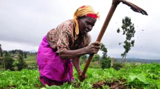 Video: Welternährung: Wie muss die Landwirtschaft der Zukunft aussehen?