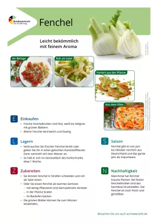 Text: Lebensmittel-Infoblatt: Fenchel