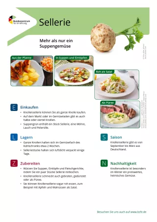 Text: Lebensmittel-Infoblatt: Sellerie