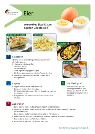 Text: Lebensmittel-Infoblatt: Eier