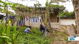 Video: Kooperative TIERRA NUEVA und APROLMA (spanisch)