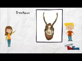 Video: Metrum erkennen