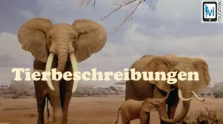 Video: Tierbeschreibungen
