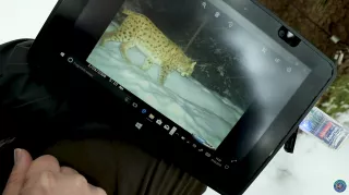 Video: Unterwegs im Luchsrevier: Fotofalle