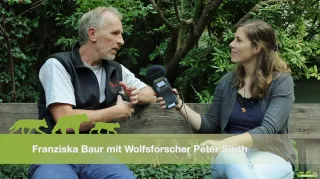 Video: Interview mit Wolfsforscher Peter Sürth