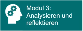 Arbeitsblatt: Modul 3: Analysieren und reflektieren - Arbeitsauftrag: Kaufen im Internet (docx)