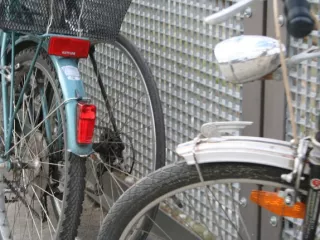 Arbeitsblatt: Alles so schön bunt…?!