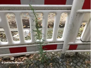 Arbeitsblatt: Bilder von der Digitalisierung