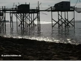 Arbeitsblatt: Das digitale Selbst