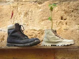 Arbeitsblatt: Zukunftsszenarien: Die Welt im Jahr 2050