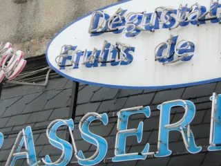 Arbeitsblatt: Handbuch „Handlungskonzept zur Umsetzung primärpräventiver Maßnahmen für Jugendliche und junge Erwachsene an Volkshochschulen“