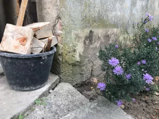 Arbeitsblatt: „Ich sehe was, was du nicht siehst“