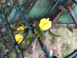 Arbeitsblatt: Kleine Große Schritte - Umgang mit Ausgrenzung und Extremismus erproben
