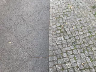 Arbeitsblatt: Montagsmaler*in