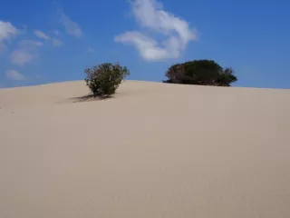 Arbeitsblatt: Planspiel Schiffsbau