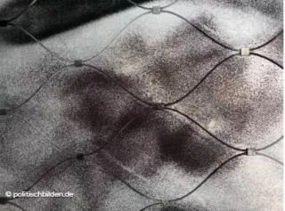 Arbeitsblatt: Digitalisierung und Nachhaltigkeit - Quiz Handreichung