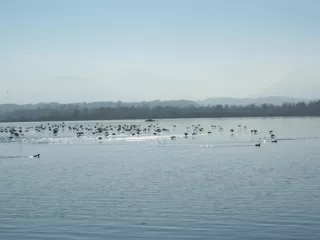 Arbeitsblatt: Rassismus - Herkunft, Erscheinungsform und pädagogische Handlungsstrategien