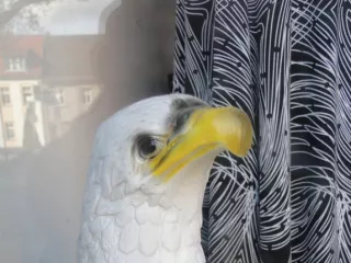 Arbeitsblatt: Fake News und Schadinformation - Wahrheit und Lüge in ihren Spektren