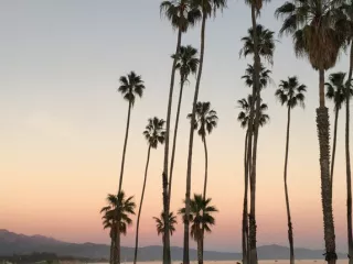 Arbeitsblatt: Umweltaspekte der Digitalisierung